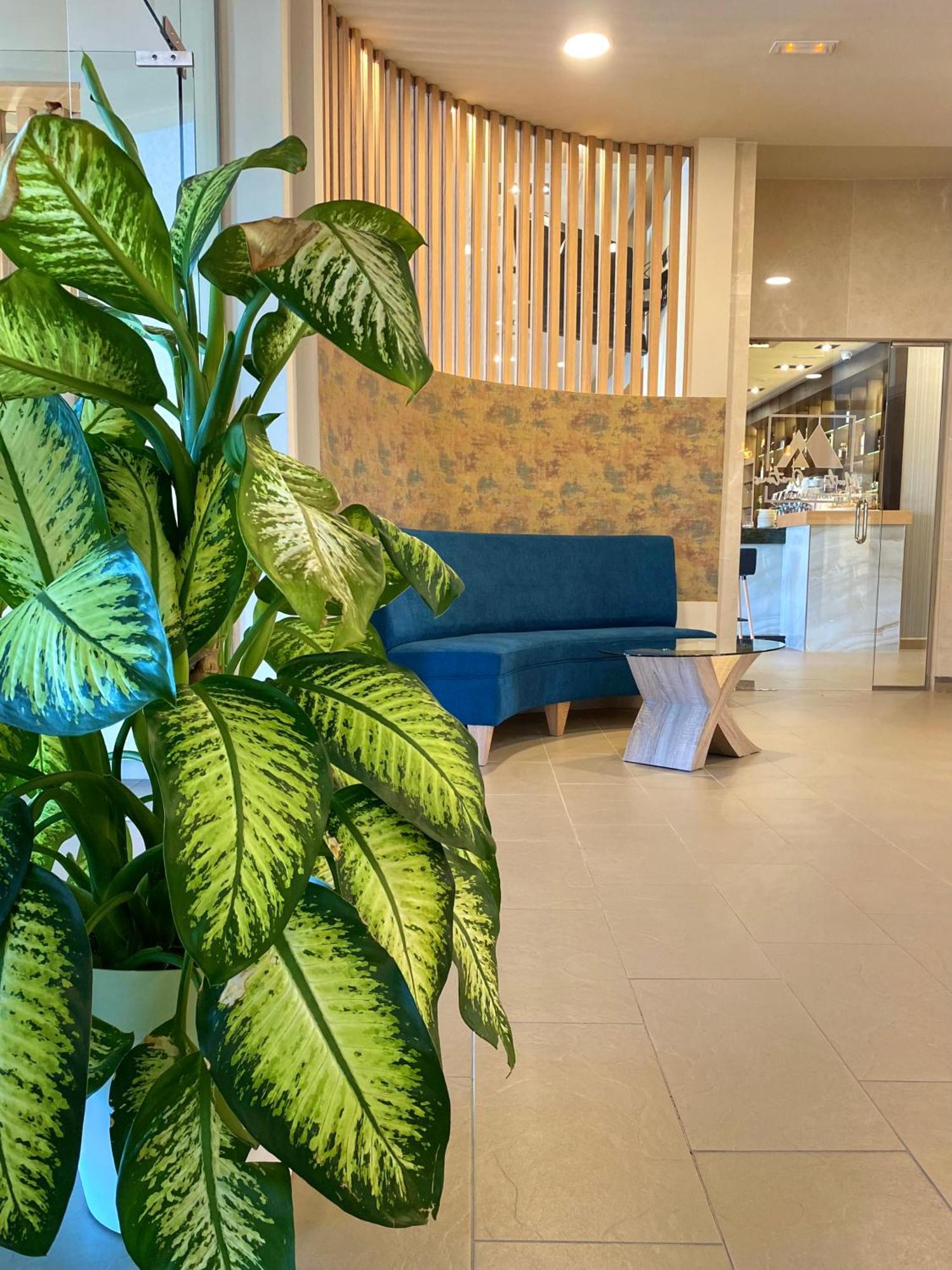 Hotel-Asador Montes Oretanos Pulgar Εξωτερικό φωτογραφία